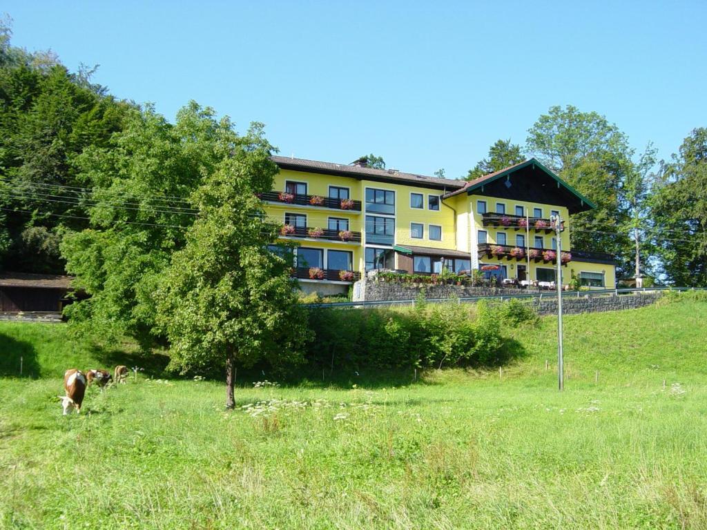 Hotel Zur Schonen Aussicht Übersee Exteriér fotografie